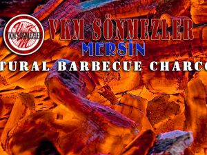 Natural Barbecue Charcoal